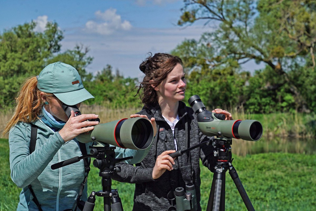 infocusOptics's tweet photo. @kowasportingoptics The TSN Prominar range with a 55mm, 66mm, 88mm, 99mm objective lenses all coming in either straight or angled variations Kowa Prominar uses pure fluorite crystal for exceptional clarity, colour accuracy and reduced chromatic aberration.
#kowaoptics #birding https://t.co/ypB8xcBLby
