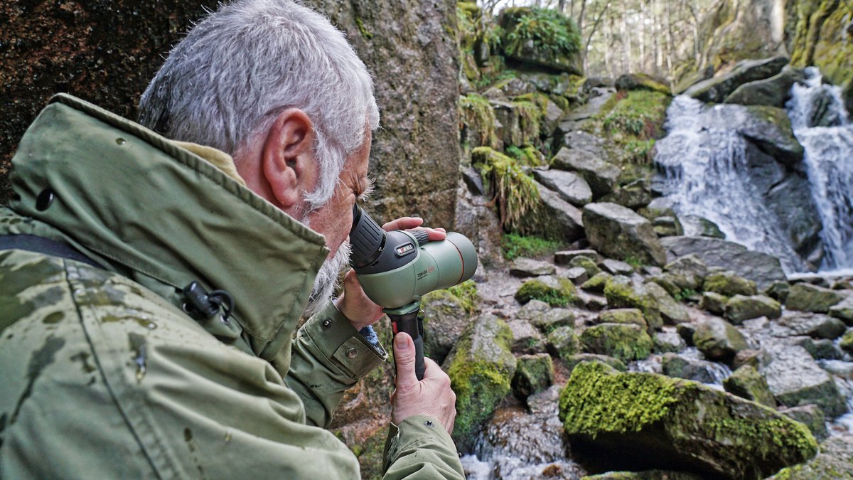 infocusOptics's tweet photo. @kowasportingoptics The TSN Prominar range with a 55mm, 66mm, 88mm, 99mm objective lenses all coming in either straight or angled variations Kowa Prominar uses pure fluorite crystal for exceptional clarity, colour accuracy and reduced chromatic aberration.
#kowaoptics #birding https://t.co/ypB8xcBLby