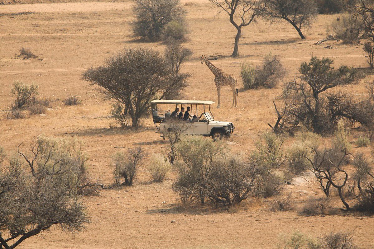 WildraceAfrica's tweet photo. 9-Day Kenya Luxury Tour: Masai Mara → Lake Nakuru → Naivasha → Amboseli → Tsavo West From $3,294 pp
✅ Luxury-tier camps &amp; lodges
✅ Private 4x4 Land Cruiser, pop-up roof

#KenyaSafari #LuxurySafari #MasaiMara #Amboseli #TsavoWest #KenyaLuxury #SafariTravel #WildRaceAfrica https://t.co/PWB5swuTN0