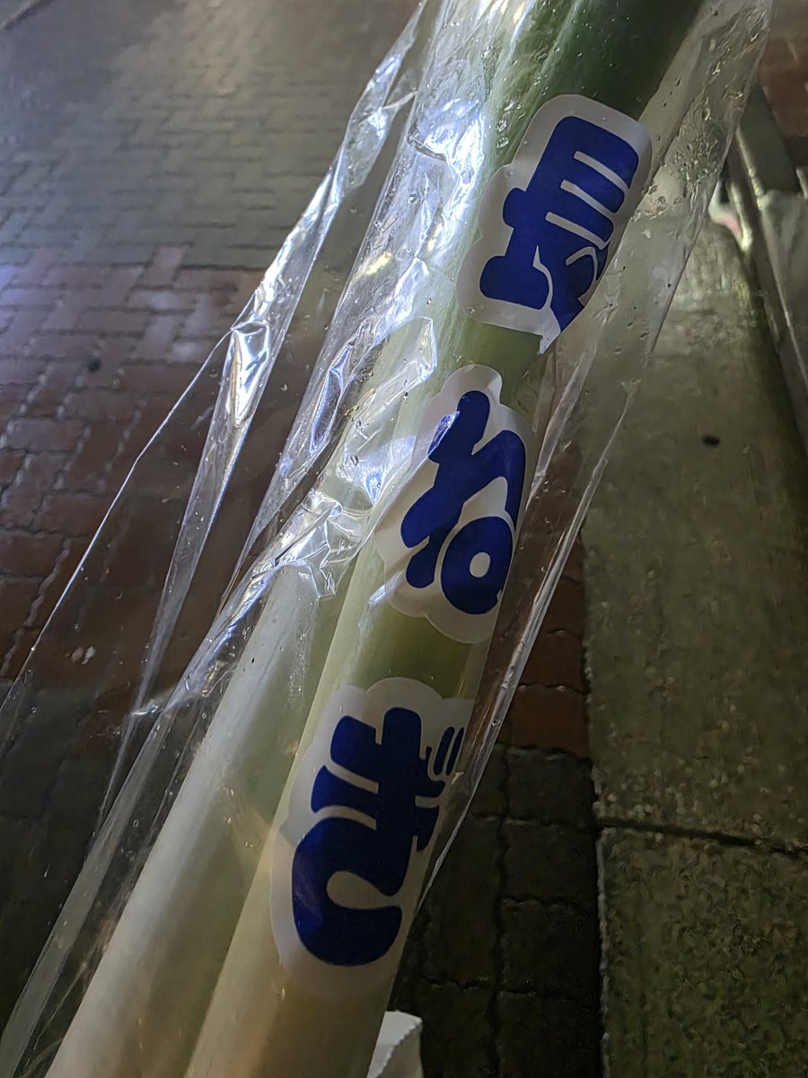 a0wise5020's tweet photo. 無性にネギ食べたくてネギだけ買って帰るのシュールだな...ヽ( ´_つ｀)ノ https://t.co/otSJhyfI4E