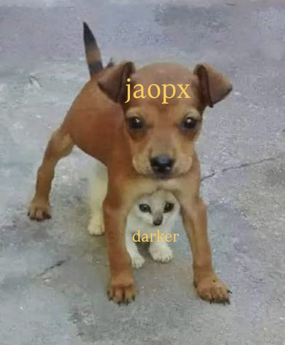jaokyte's tweet photo. eu te protejo. https://t.co/FChNWmJ6aa