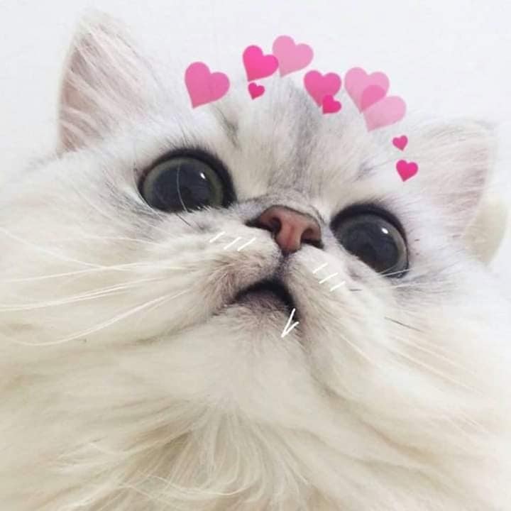 TuongMunZ's tweet photo. https://t.co/AISKjbWMxh