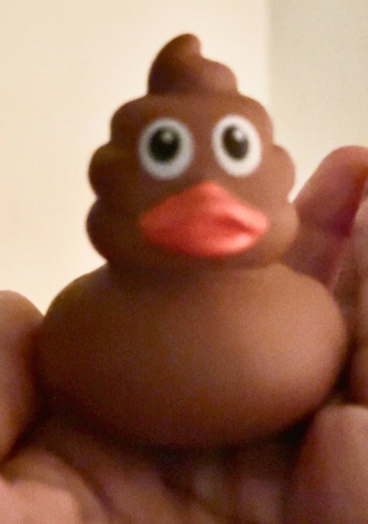 Rachel_AWELLS's tweet photo. Finished the duck race. The rest I’ll use to duck the Wranglers. The poop ones are so funny but unsure if others would find it as funny 😂 @DuckMoreJeeps #ducked #duckduckjeep #duckmorequackless #ducked #jeepwrangler https://t.co/KxdfKOf8o7