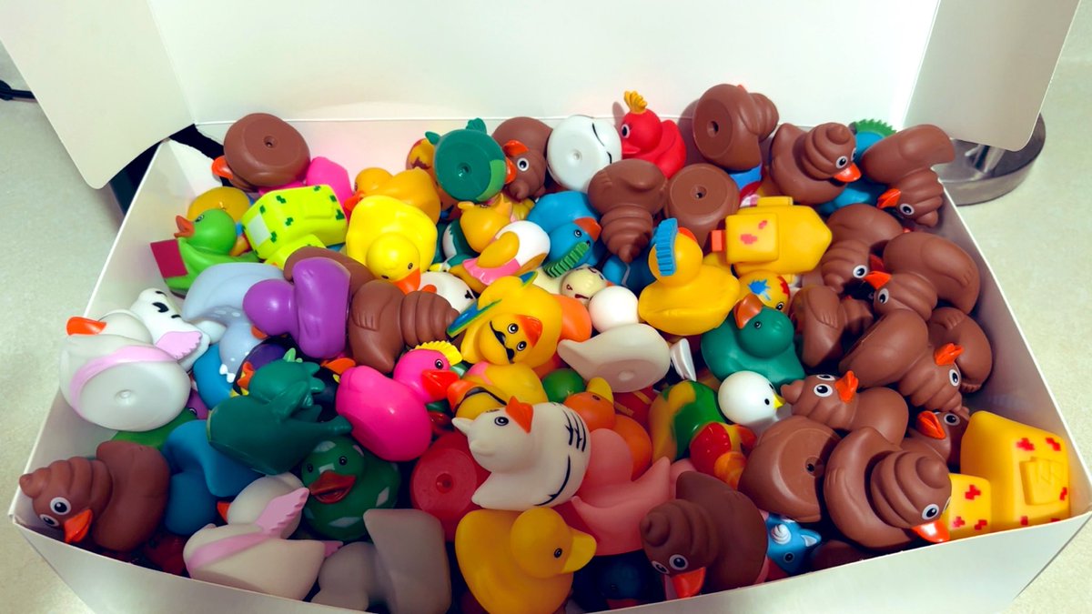 Rachel_AWELLS's tweet photo. Finished the duck race. The rest I’ll use to duck the Wranglers. The poop ones are so funny but unsure if others would find it as funny 😂 @DuckMoreJeeps #ducked #duckduckjeep #duckmorequackless #ducked #jeepwrangler https://t.co/KxdfKOf8o7