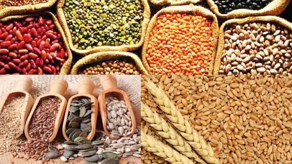 Indiagri's tweet photo. The latest procurement decision puts #pulses and #oilseeds in sharper focus.

With 7.06 lakh MT to be procured at #MSP across three states, the move is aimed at giving farmers greater price security while supporting domestic production.

https://t.co/OO9rfcs8Ii

#IndianAgriculture #Farmers #IndiAgri

@ChouhanShivraj @AgriGoI @icarindia @IcarIipr @nafedindia @Nccf_India