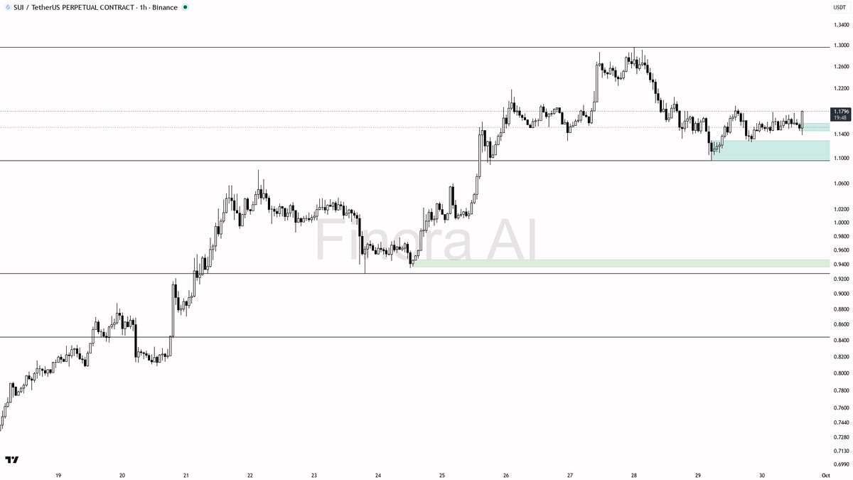 🧲 $SUI 0.71% sweep below 1.1461 just handed bulls fresh fuel 🧵👇 
 [📷](https://pbs.twimg.com/media/HTdx7tHWEAApKgY.png) https://pbs.twimg.com/media/HTdx7tHWE