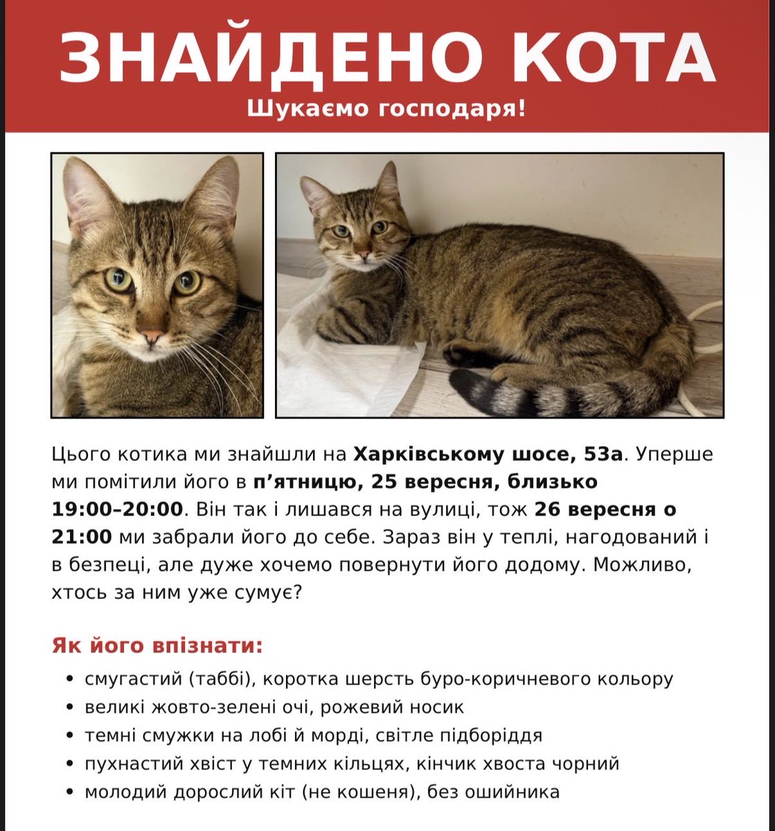 a_vemari_a's tweet photo. ! Лівий берег, Київ 
Вже пʼятий день шукаємо господарів цього хлопчика 

Поширте будь ласка, можливо, його хтось впізнає 

Він дуже комунікабельний і ніжний💔 https://t.co/yCoM9L5sQw