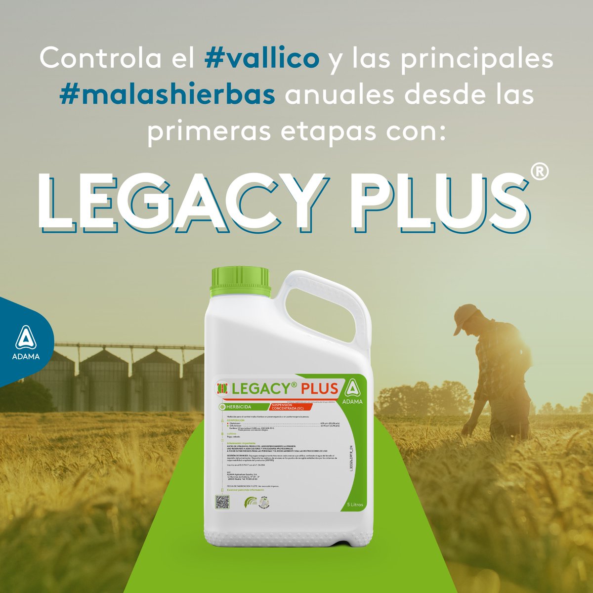 adama_espana's tweet photo. 🌿 ¿Malas hierbas en tu cereal? 

👉 Actúa antes de que compitan con el cultivo.

Con #LEGACYPLUS, controla el #vallico y las principales #malashierbas anuales desde las primeras etapas.

🌱 Protege el potencial de tu #trigo y #cebada.

🔗 https://t.co/aZyIbuDG85 https://t.co/aWQn3G0VIn