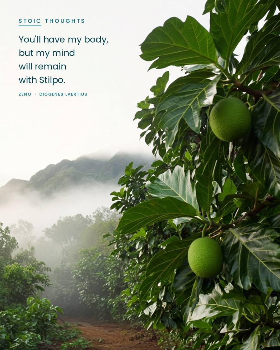 CEOScottFord's tweet photo. Zeno said they could have his body, but his mind would stay with his teacher Stilpo. Pressure can push you around all day. It only runs your mind if you let it.
#SpreadingPositivity #AlohaSpirit #Stoic #InnerFreedom https://t.co/7f85OdB7I3
