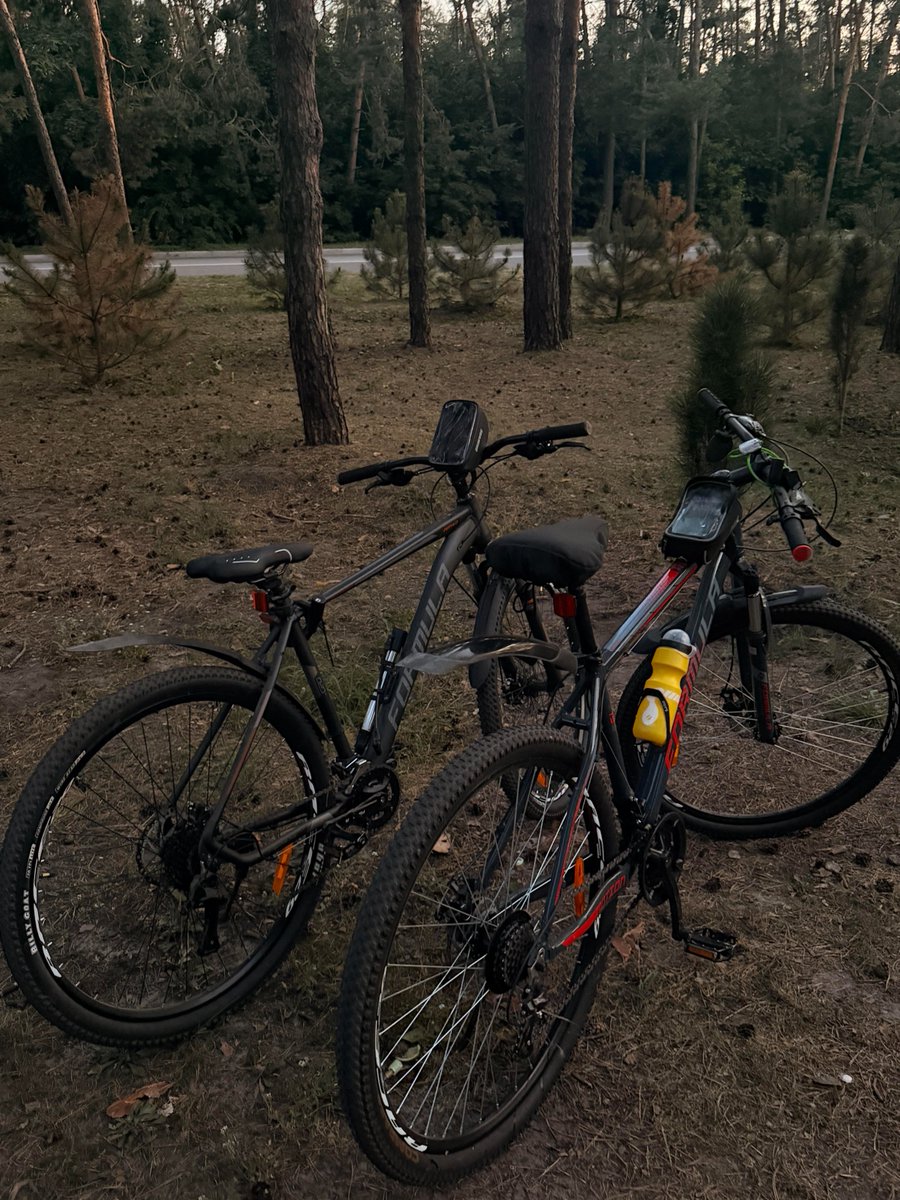 Melissa3498's tweet photo. Escape the city and hide away in the forest. https://t.co/K0SGJIElOE
