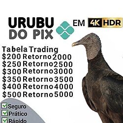 PJDSNT's tweet photo. urubu do pix neles https://t.co/S9yCZKVAxY