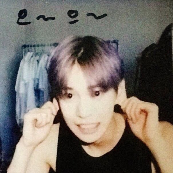 7do0_n's tweet photo. 나는야 블루베리야 https://t.co/Hhoyiq1SMO