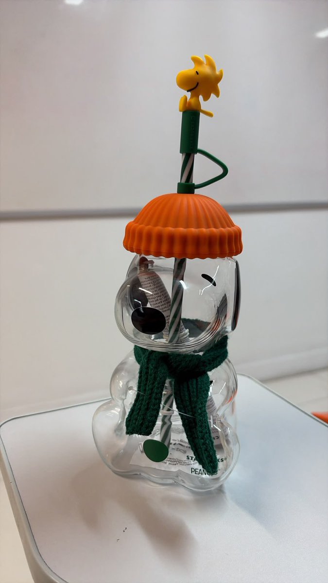 jendeuksatan's tweet photo. tenho 20 anos.
consegui o copo do snoopy especial de outono da starbucks. 
sem “pais ricos”. 
sem herança. 
eu não tive sorte.

eu estabeleci uma meta e a alcancei.
disciplina, consistência e prioridades. https://t.co/9eXRlSPw4F