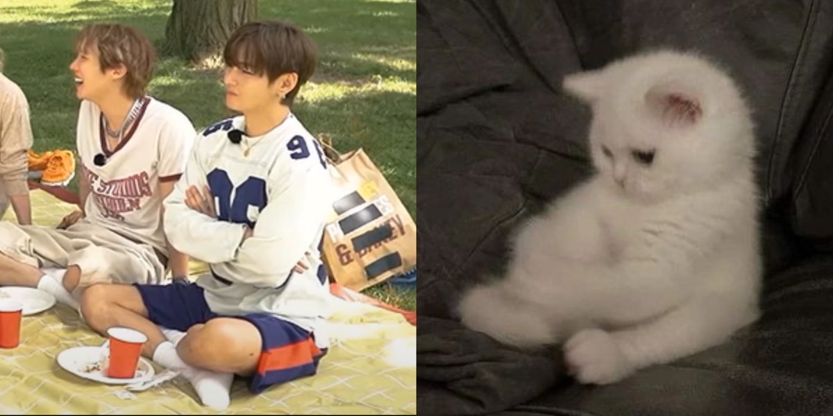 euphorikth's tweet photo. kittae sits so dollie like (ෆ˙ᵕ˙ෆ)♡ https://t.co/VyW5uUS1No