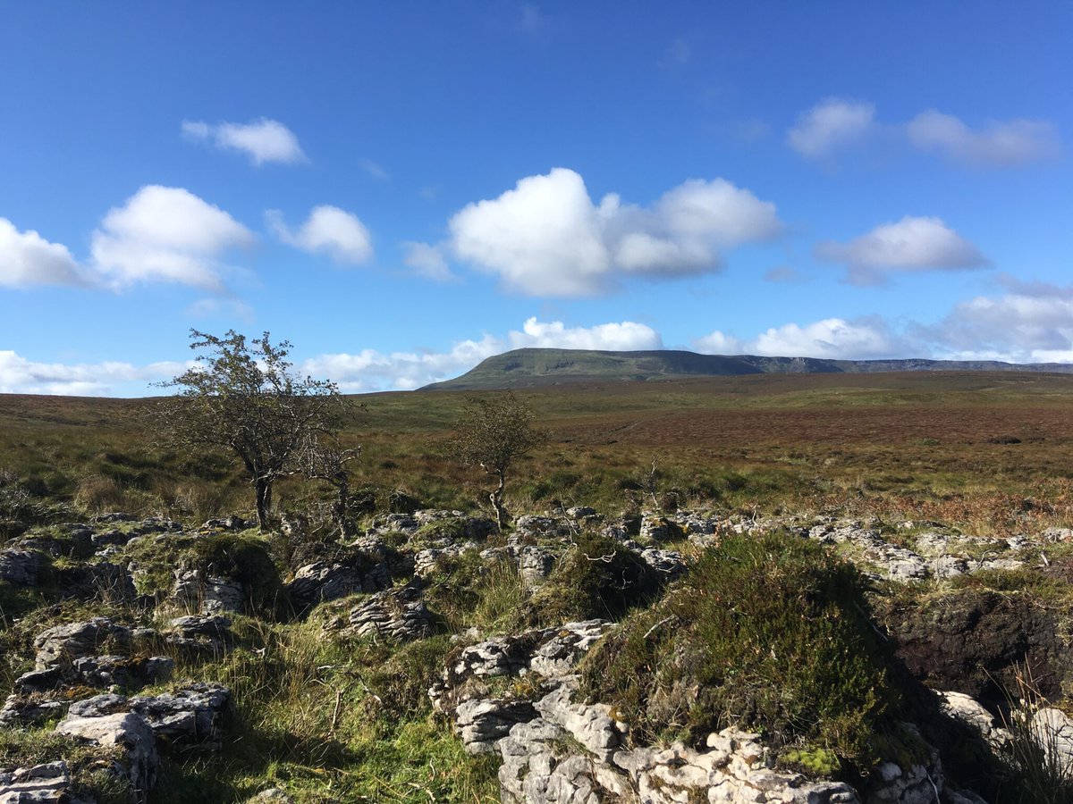 EnvironmentNI tweet picture