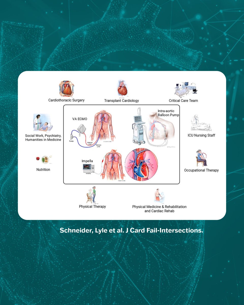 JCFINT's tweet photo. 💪 What if time on temporary MCS wasn't just spent waiting for LVAD or transplant, but preparing for it?

This Teachable Moments article explores “prehabilitation”: building physical, psychological &amp; emotional readiness for advanced HF therapies. 🫀

🔗 https://t.co/7WSQRyj1Ta https://t.co/IZgnj198K7