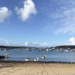 Photo by Rebecca Baldwin (@scillygigs)