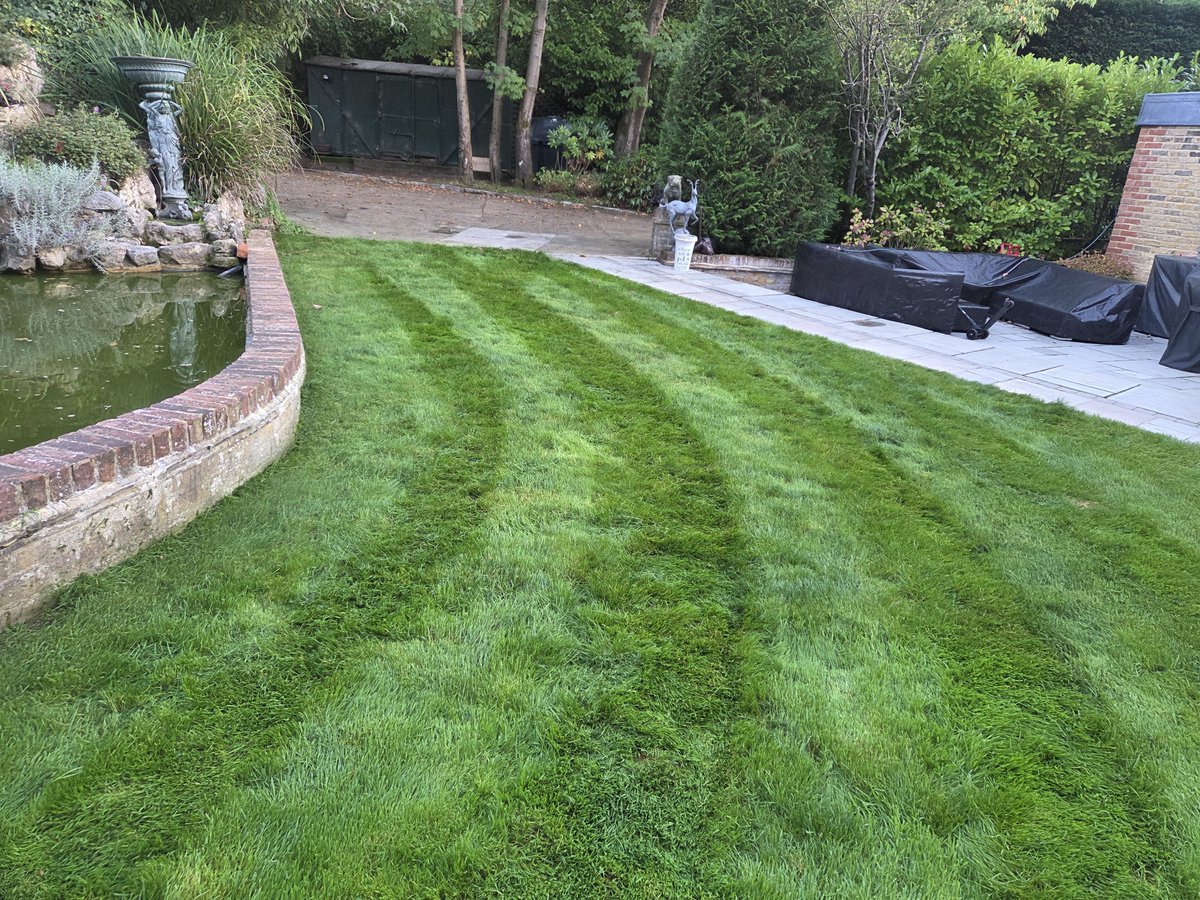 jamiehoneymsn69's tweet photo. New bit my own business work after a full time work im crazy right  plus new customer aswell to not bad right. #jamiehoneymangardening #privatework #lovegardening #gardeningwork https://t.co/0OUl1Zvi7g