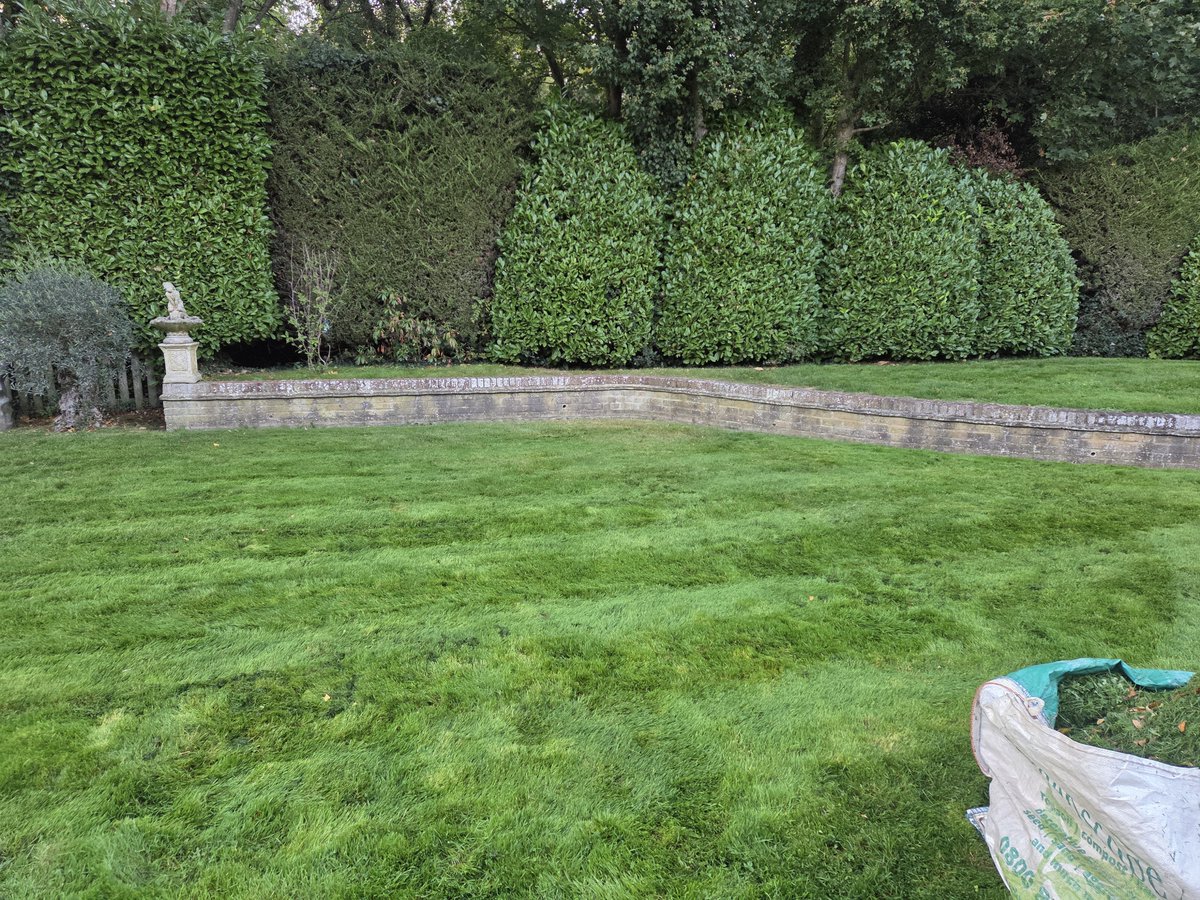 jamiehoneymsn69's tweet photo. New bit my own business work after a full time work im crazy right  plus new customer aswell to not bad right. #jamiehoneymangardening #privatework #lovegardening #gardeningwork https://t.co/0OUl1Zvi7g