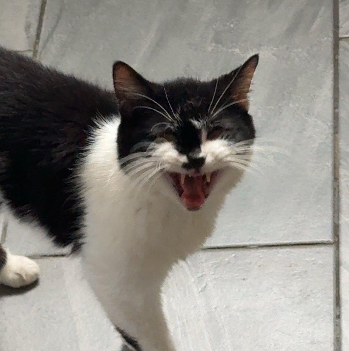 MarieRmy3's tweet photo. j’aime tellement ma nouvelle vie, j’suis libérable https://t.co/ntrWgFaLgO