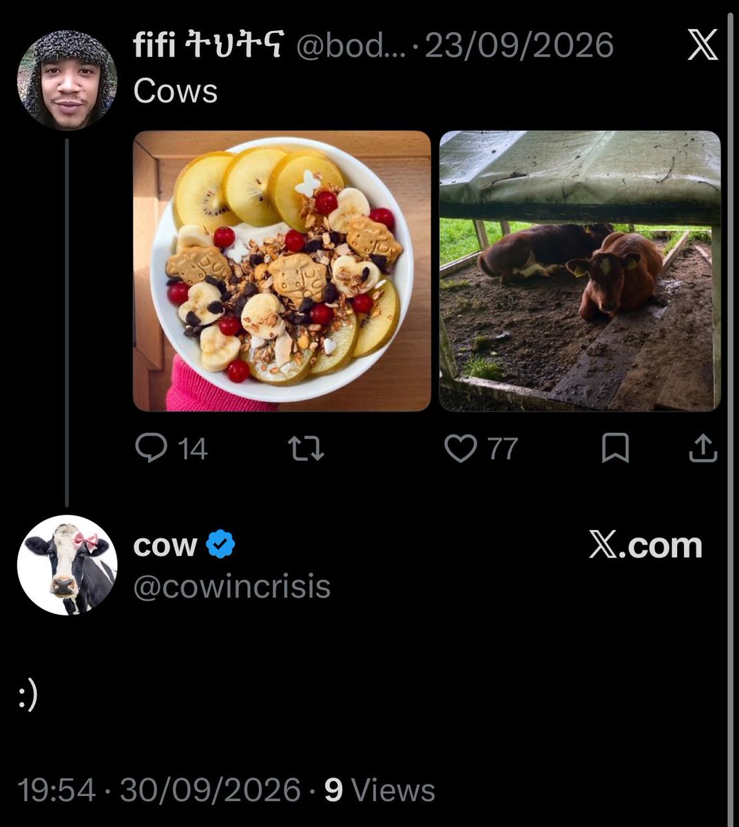 bodythieving's tweet photo. 😭😭😭😭😭😭❤️❤️❤️❤️❤️❤️❤️❤️❤️cow 🐄 https://t.co/hcdxisljtK