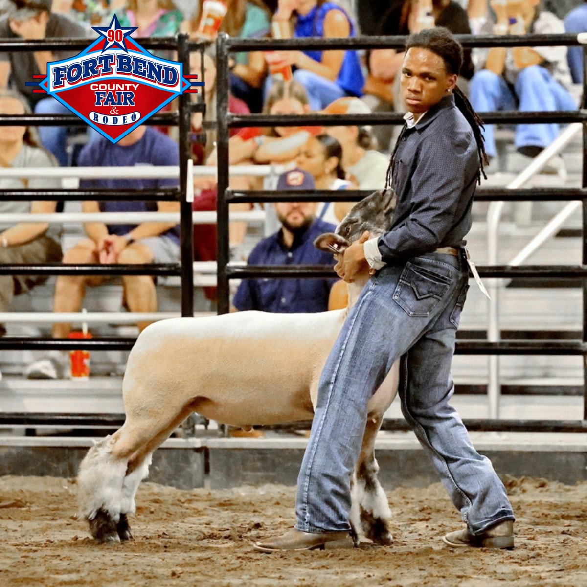 fbcfair's tweet photo. The faces of hard work. ❤️🐑
The concentration. The determination. The nerves. And yes… a few expressions that are absolutely priceless! #fbcfair90 #fbcf #fortbendcountyfair #fairtime #fairdays #PromotingFamilyYouthAgriculture #fairszn🎡 https://t.co/zfLddZ6O4k