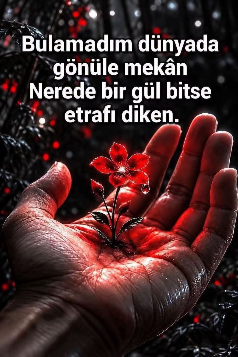hatice_balci's tweet photo. https://t.co/7Wj5CBpzzv