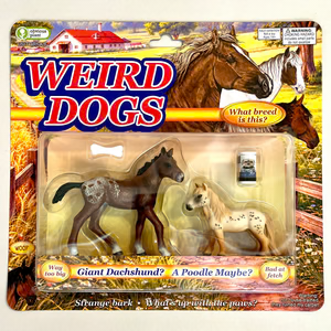 wupshott's tweet photo. @atlanticesque I associate this brand of humor with Obvious Plant, who reddit thought was really funny a few years back https://t.co/fEM33157ZS