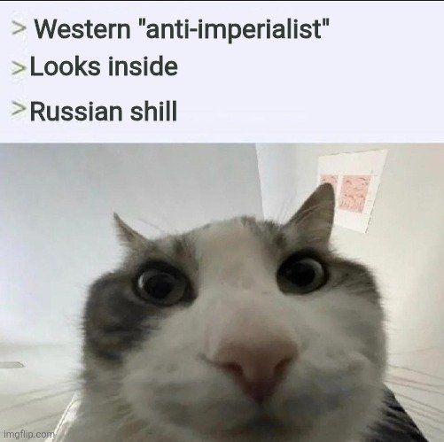 BohuslavskaKate's tweet photo. Every single time. https://t.co/loCEjvFTFx