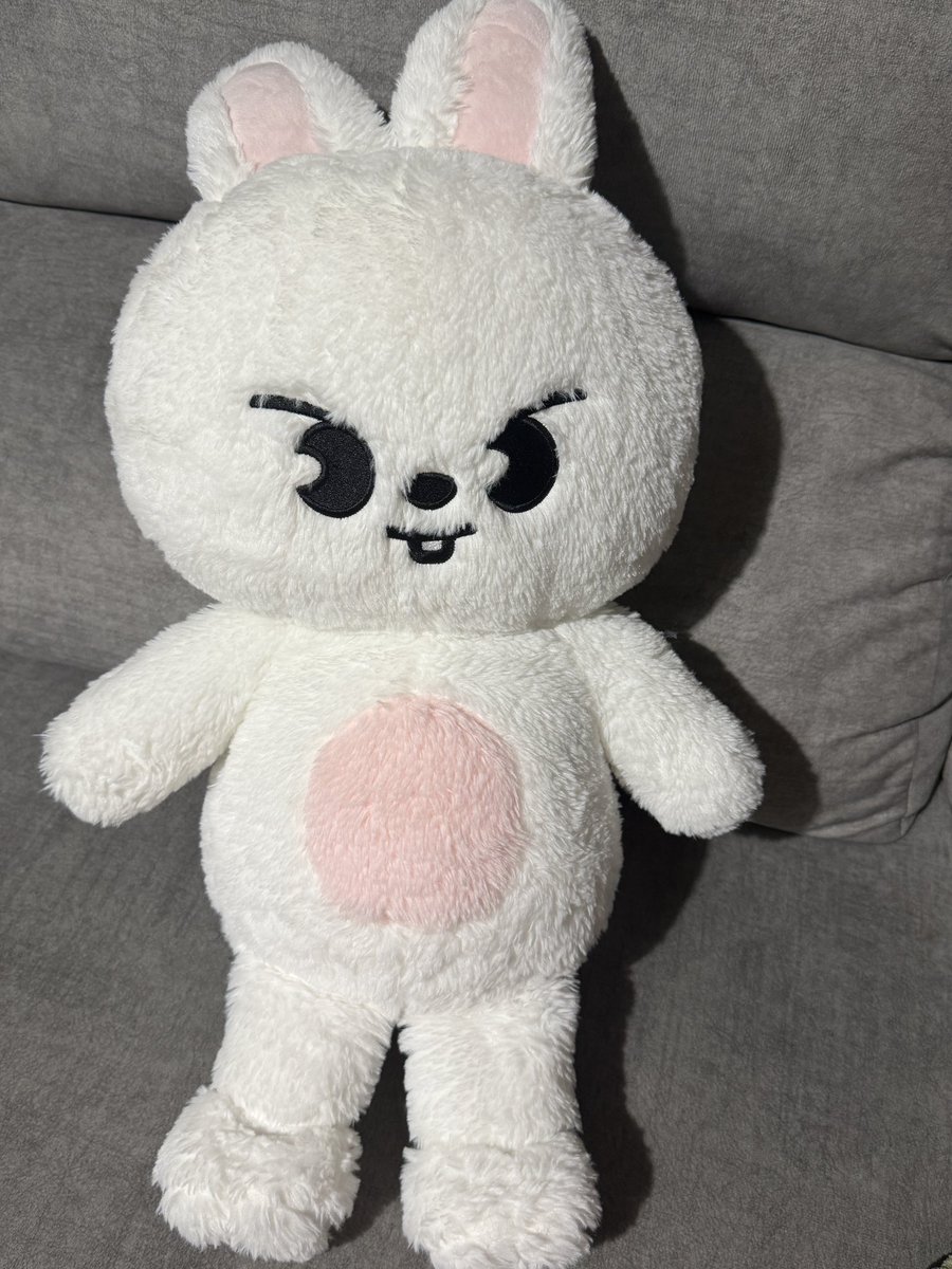 linodding's tweet photo. i am now the owner of teddy bear leebit https://t.co/DZTXHsnNHL