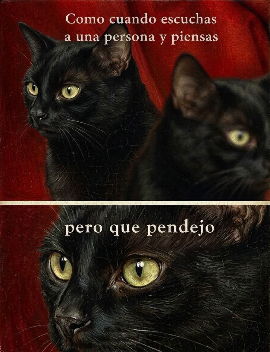 TaCvBiTa's tweet photo. Todos los días....      👇🤭😂😂 https://t.co/lOrxUAgUQo