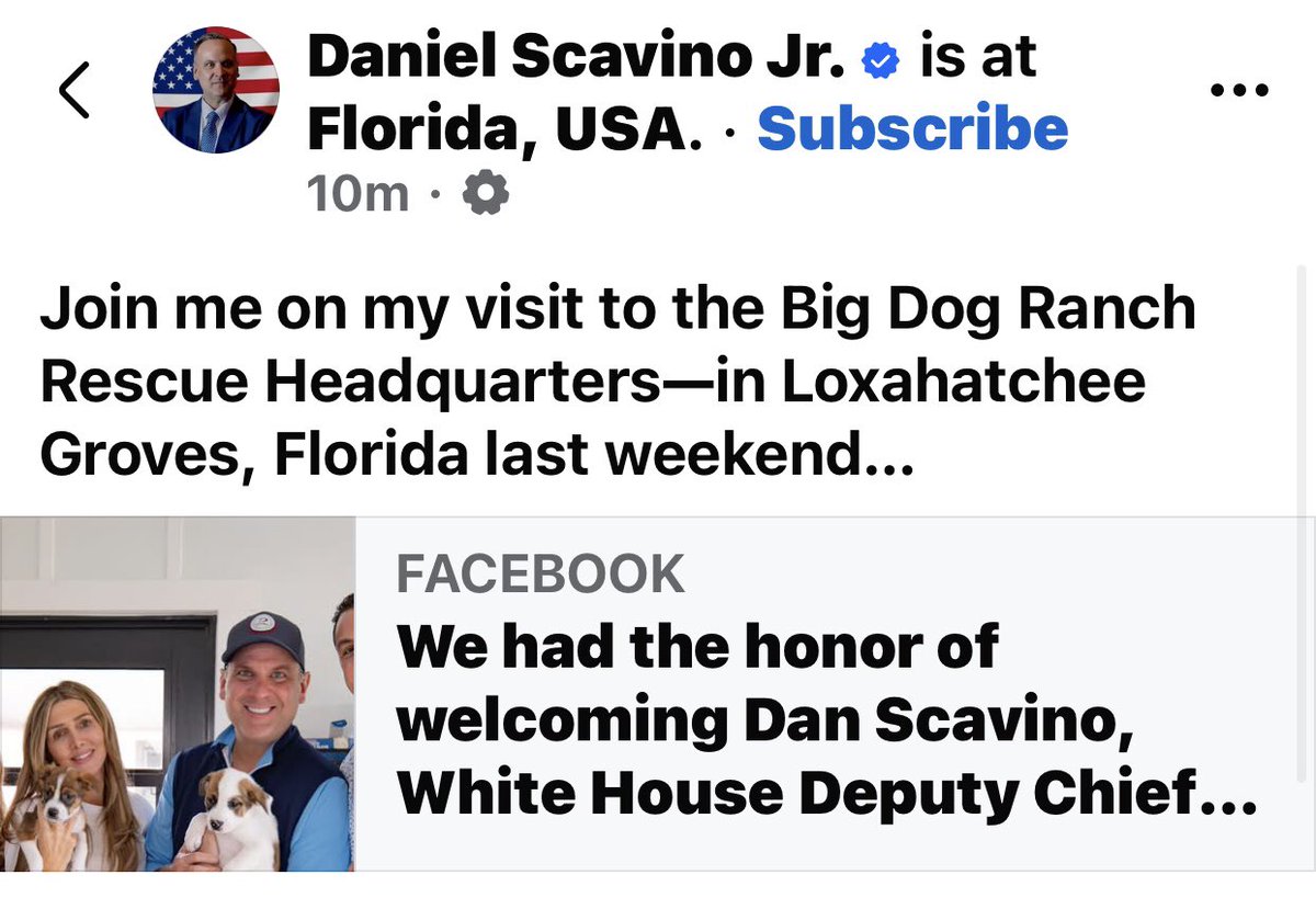 CCgram20's tweet photo. @Kimberlyrja8 Dog comms on FB? https://t.co/cz9UJchoDt