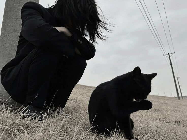 theaselxs's tweet photo. есть любители кошек?) 
они такие милашки. https://t.co/QXHsfoGUbO