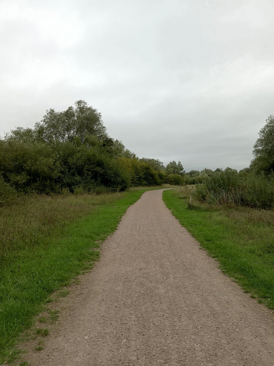 phil0073's tweet photo. Along the #Greenway, the old #NeneValleyRailway track (#LNWR c1845-1966) by @StanwickLakes, #Northamptonshire.#PhilOnaBike #clouds #WednesdayWander #FootpathFriday #BywayFriday https://t.co/j0vDRwim2y