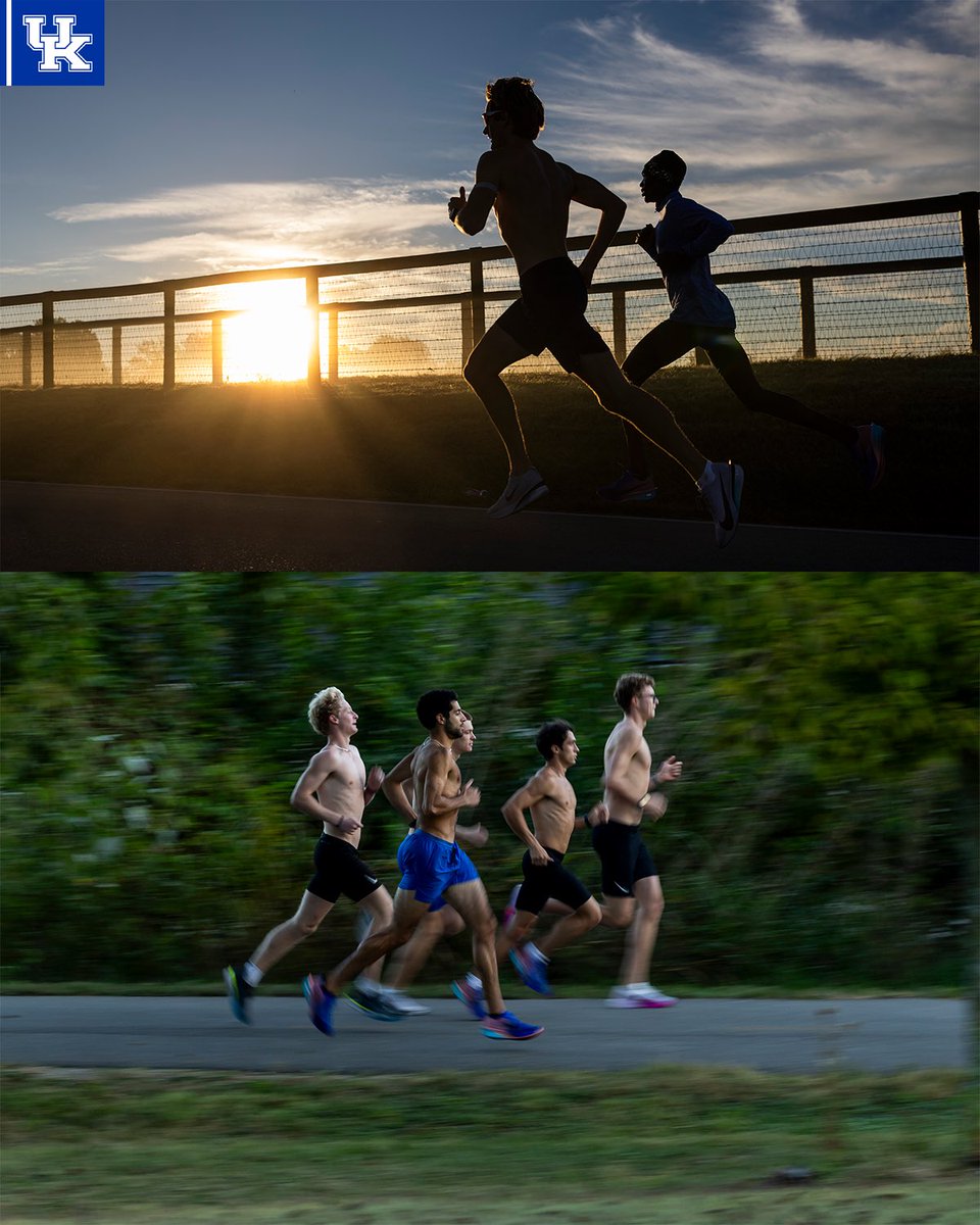 KentuckyTrack's tweet photo. Back to work 💪

#WeAreUK | #UKXC https://t.co/29Z4aiBkXe