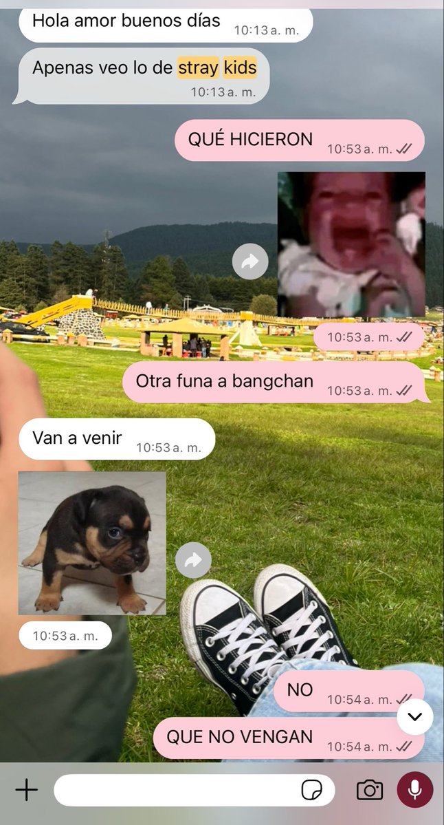 mieltaquito's tweet photo. OTRA FUNA A CHANO AAKALDSKJAJASIIA 

Estaba con mis niños de la primaria 😿 https://t.co/GuRkwrUVCz
