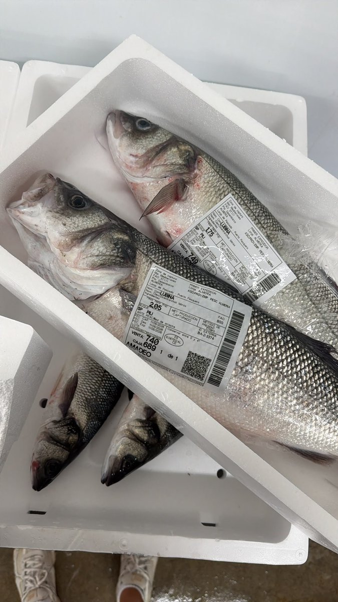 Fernn5Garcia's tweet photo. @LuisBlacula @forocoches Me refiero al de la izquierda que parece estar en concordancia y la misma linea. Pero vamos que trabajo bandejas similares y se los diámetros y ya te digo yo que una de 2 kg no entra en las bandejas😂 https://t.co/q6Q5a1ffu2