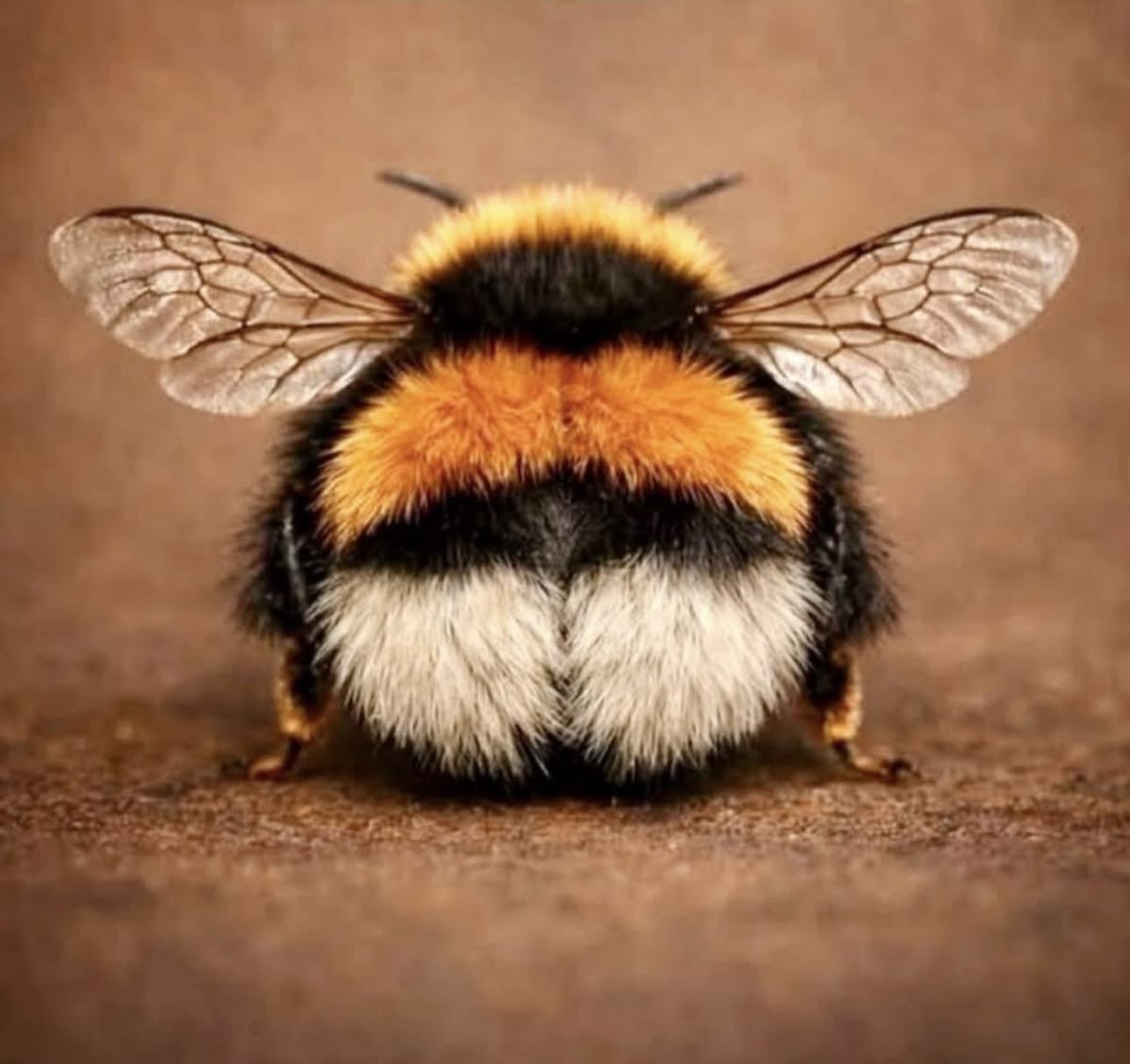 Gitana1369877's tweet photo. “It is the simple things in life that are the most extraordinary.” — Paulo Coelho https://t.co/355DouKxLQ
