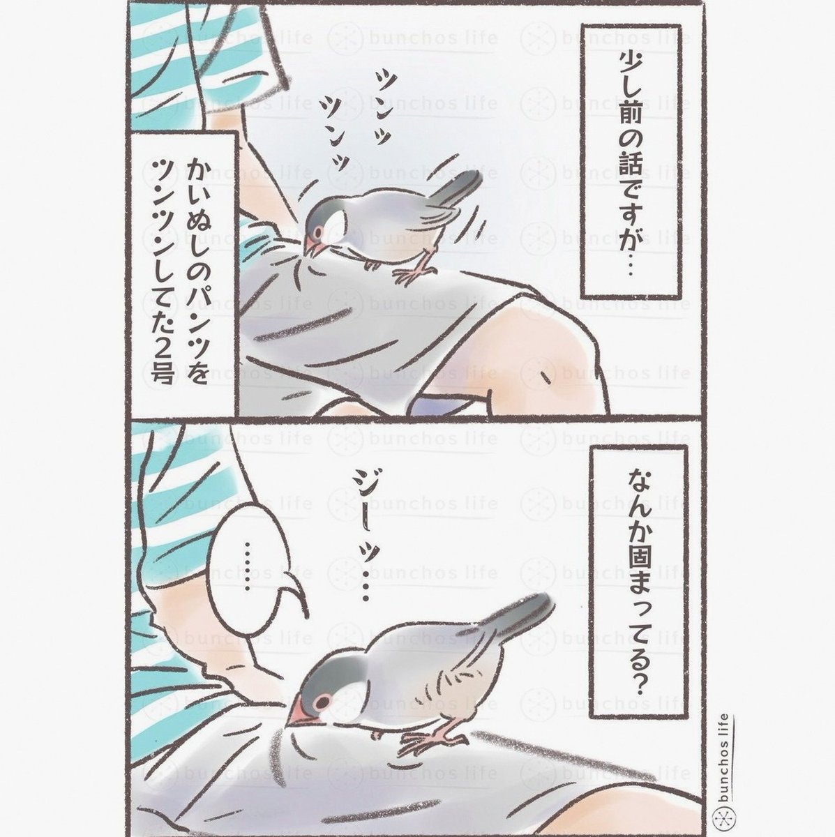 tetu0504's tweet photo. フォロワさんの励ましと優しさでいつかを待っていたけど、商品が手元に届いたとしても香水を見る度、1年間不安やストレスを抱えたことや、カード会社や消費者センターに問い合わせた労力を思い出すんだろうな。だから私はそんなNOZ COLLABORATION からの商品はもう欲しくない。だから怪獣8号も返金して https://t.co/rvM53tD1nF