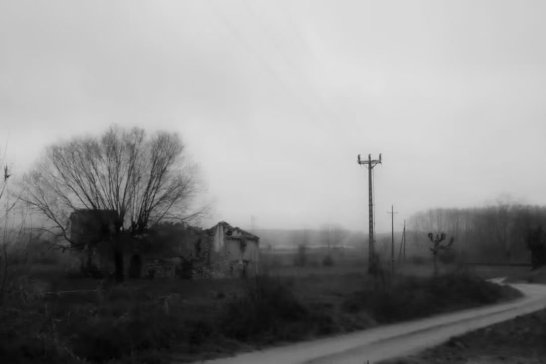 PereBCfoto's tweet photo. Paisatges durs i frets https://t.co/mtZ7OeQcGg