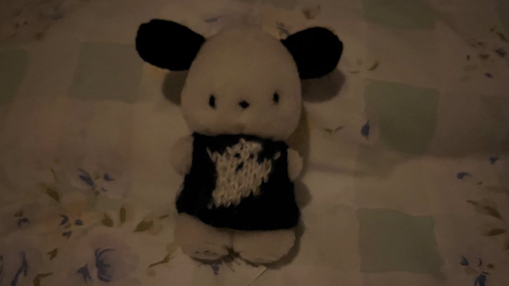 renrenpanchan's tweet photo. 本日の仮眠のお供
ポチャッコ、おばけちゃんver. https://t.co/kdPg7fQgJr