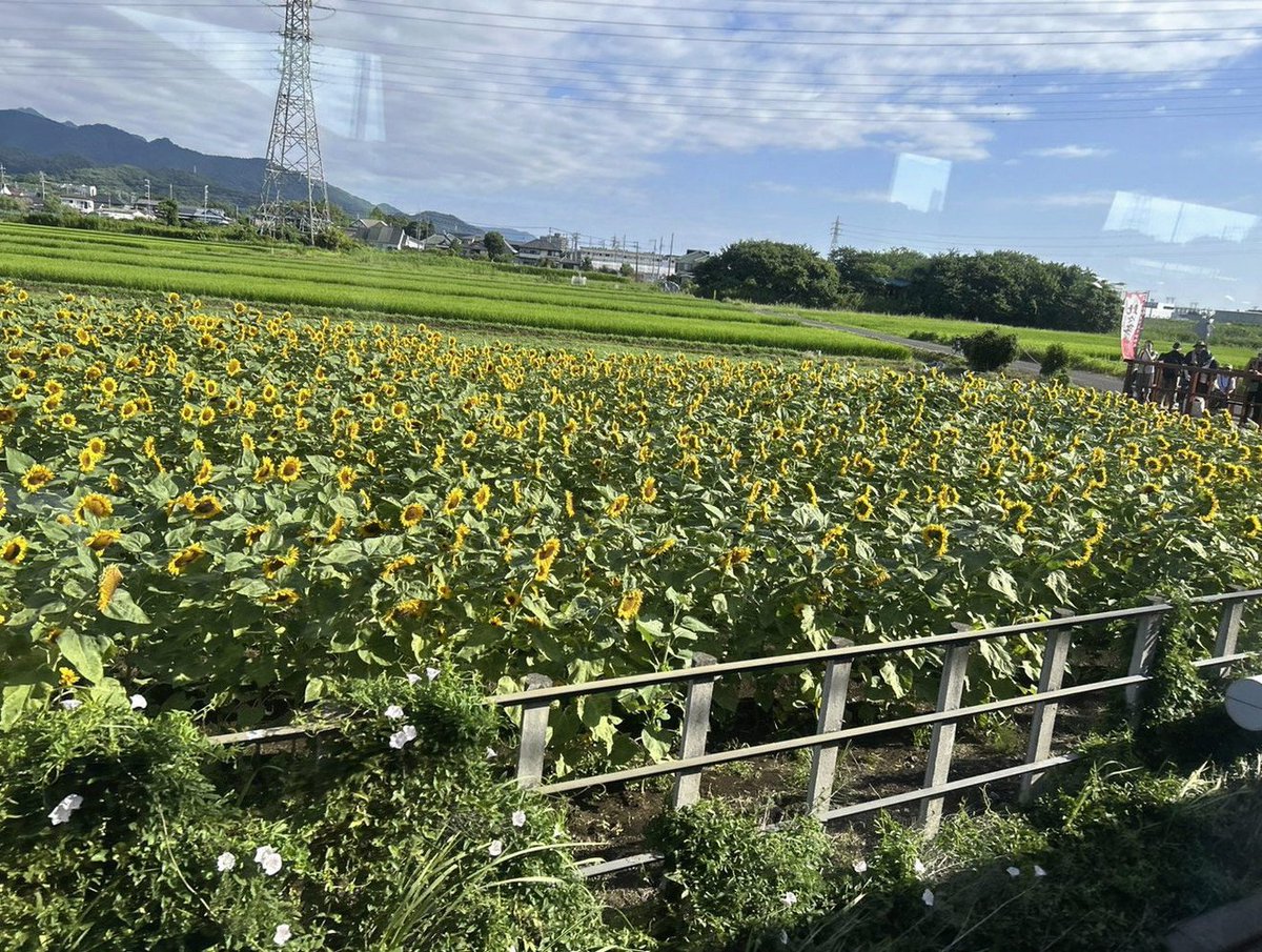 mushamushagohan's tweet photo. 昨日は20:00に退勤してレイトショーを観て、今日は19:30に退勤してレイトショーを観て、明日は朝イチでプチ遠出して映画を3本ハシゴする��
全然体が休まらない。家事が消化できない。でも、明日の3本は今週の本命なので外せない。 https://t.co/QAxQW4FwwL