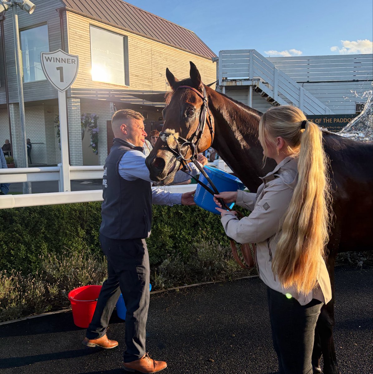 CatterickRaces's tweet photo. PRINCE OF CALYPSO wins the Amstel Gallop Handicap Stakes under Danny Tudhope for @ebethellracing and owners the Yorbus Syndicate - congratulations to all connections! https://t.co/TMohOspkFB