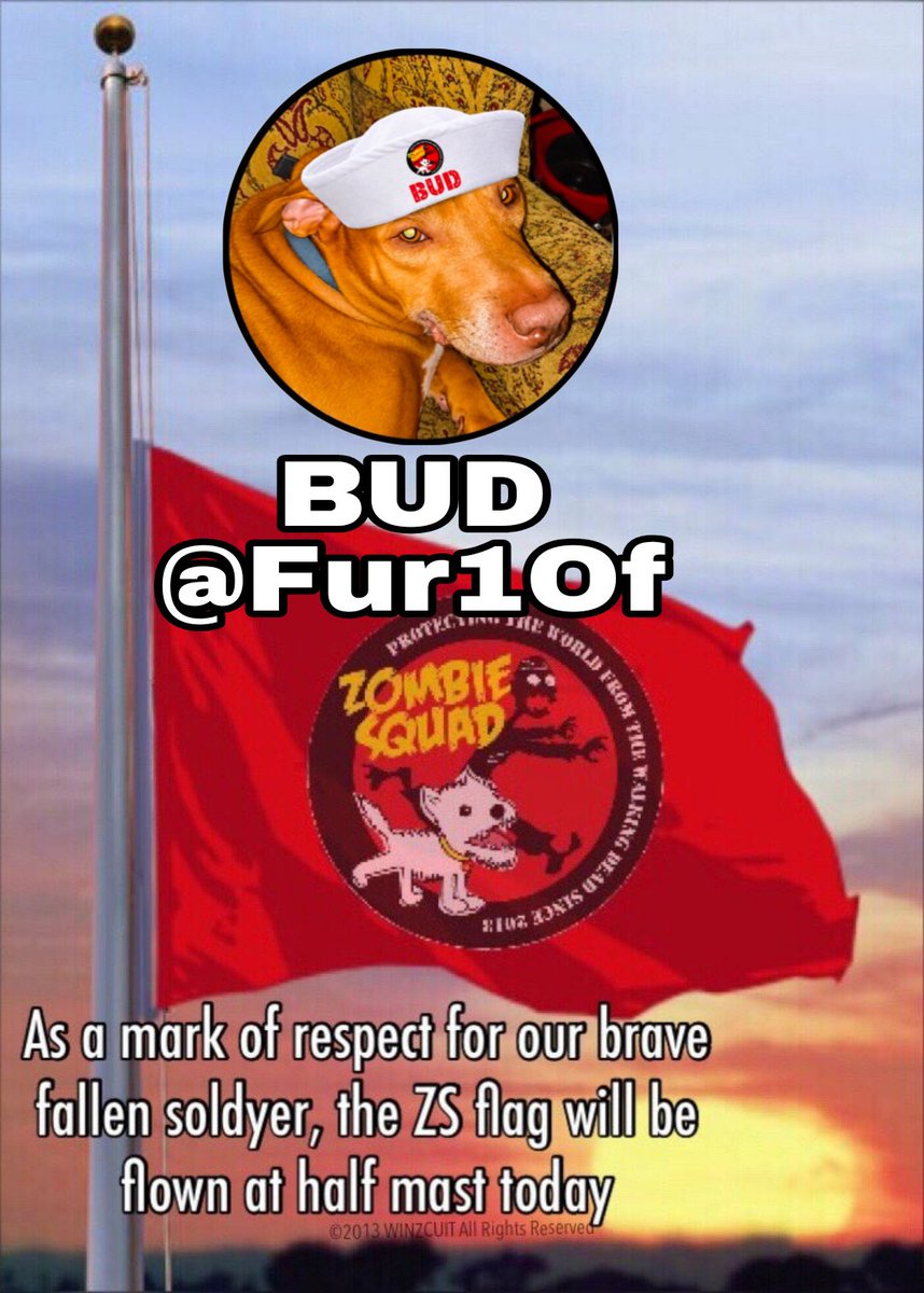 ZombieSquadHQ's tweet photo. It is with a 💔 that we lower the flag for 
MAJOR BUD
@Fur1Of
who suddenly has crossed 🌈 Bridge to join his 🌈Crew  members in the #ZSIMMORTALBRIGADE  #ZSHQ please patrol in BUD's honor and send love and support to his many fursibs, Mom, family &amp; friends. 🫡 https://t.co/DY5ebNmSRu