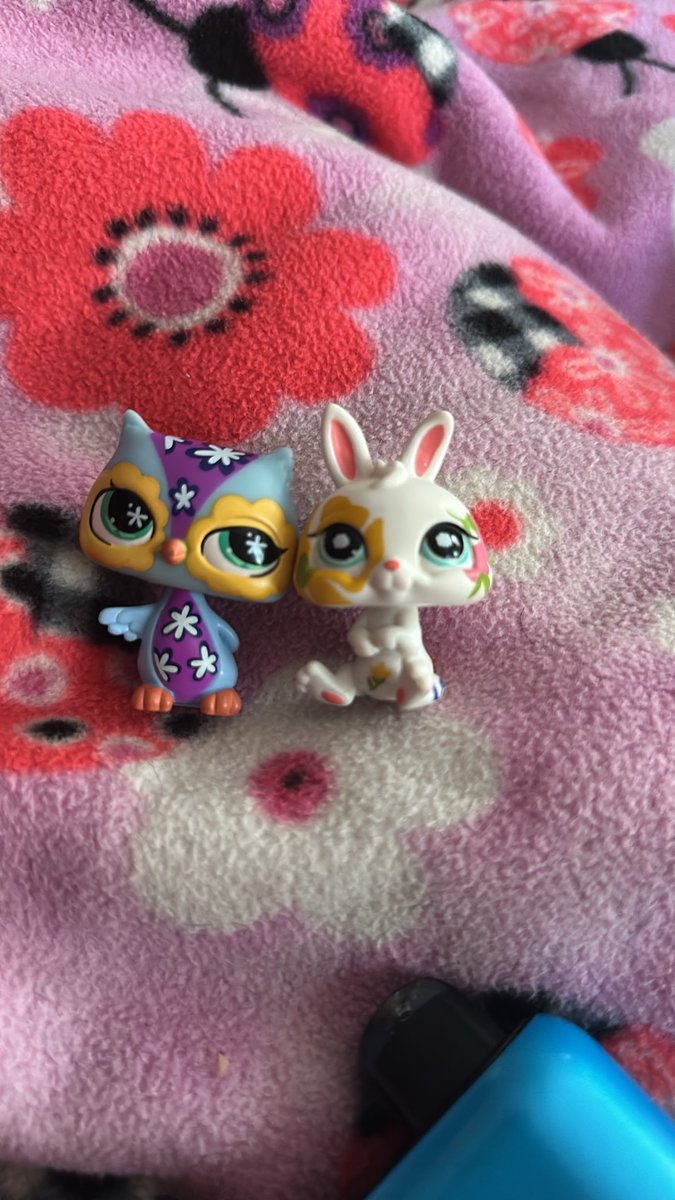 cashbuglps's tweet photo. such cuties came in today https://t.co/tENUA1RXxX