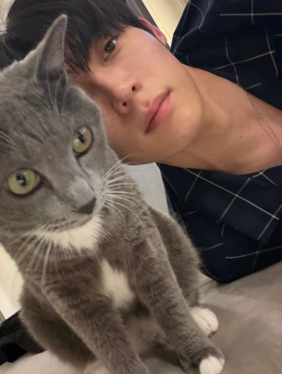 Yutianxixi's tweet photo. Your amber eyes are so enchanting, like precious gemstones shining gently🩵
호박 같은 따뜻한 눈동자, 보면 볼수록 빠져들어요 윤식님(^O^)🩵🩵🥹

WELCOME KIM YOON SIK TO PARIS

#YOONSIKPFWSS27
#KIMYOONSIKINPARIS https://t.co/FTXzyCPnik