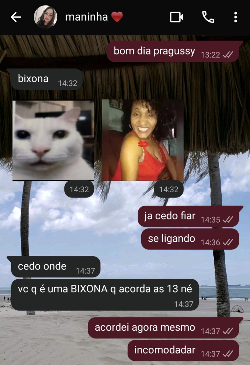 hitomicore's tweet photo. irma de 18 anos core #familiatwt https://t.co/EQpbFMbAU9