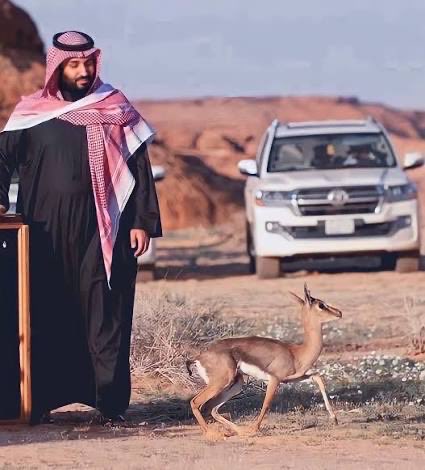 Philip_1955's tweet photo. صمام امن الطاقة في العالم KSA ♥️
"MBS
الله يحفظك ويطول عمرك https://t.co/Xt1atCfn8Q