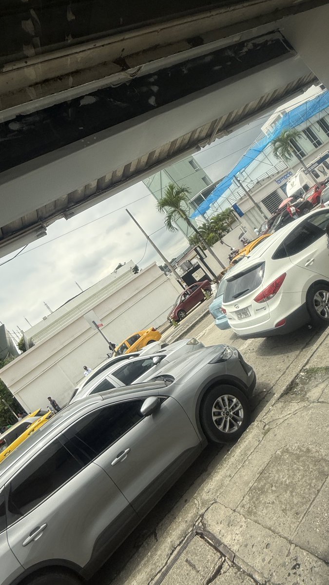 melissa_aip's tweet photo. POR FAVOR ATENDER @ATMGuayaquil el caos que se arma afuera del lobby de solca ya es una situación insostenible. El parqueo en doble fila genera congestión vehicular e incomodidad. Es lamentable que no exista un control efectivo por parte del señor ATM, se le ha dicho pero nada. https://t.co/TZwWV4PxWg