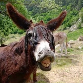 infoboster12's tweet photo. #NuevaFotoDePerfil
Nueva misión: 
Desburrar a la sociedad… 
SON MUCHOS VOY A NECESITAR AYUDA!!!! https://t.co/tl5JThebty